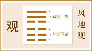 風地觀感情|觀卦（風地觀）易經第二十卦（巽上坤下）詳細解說